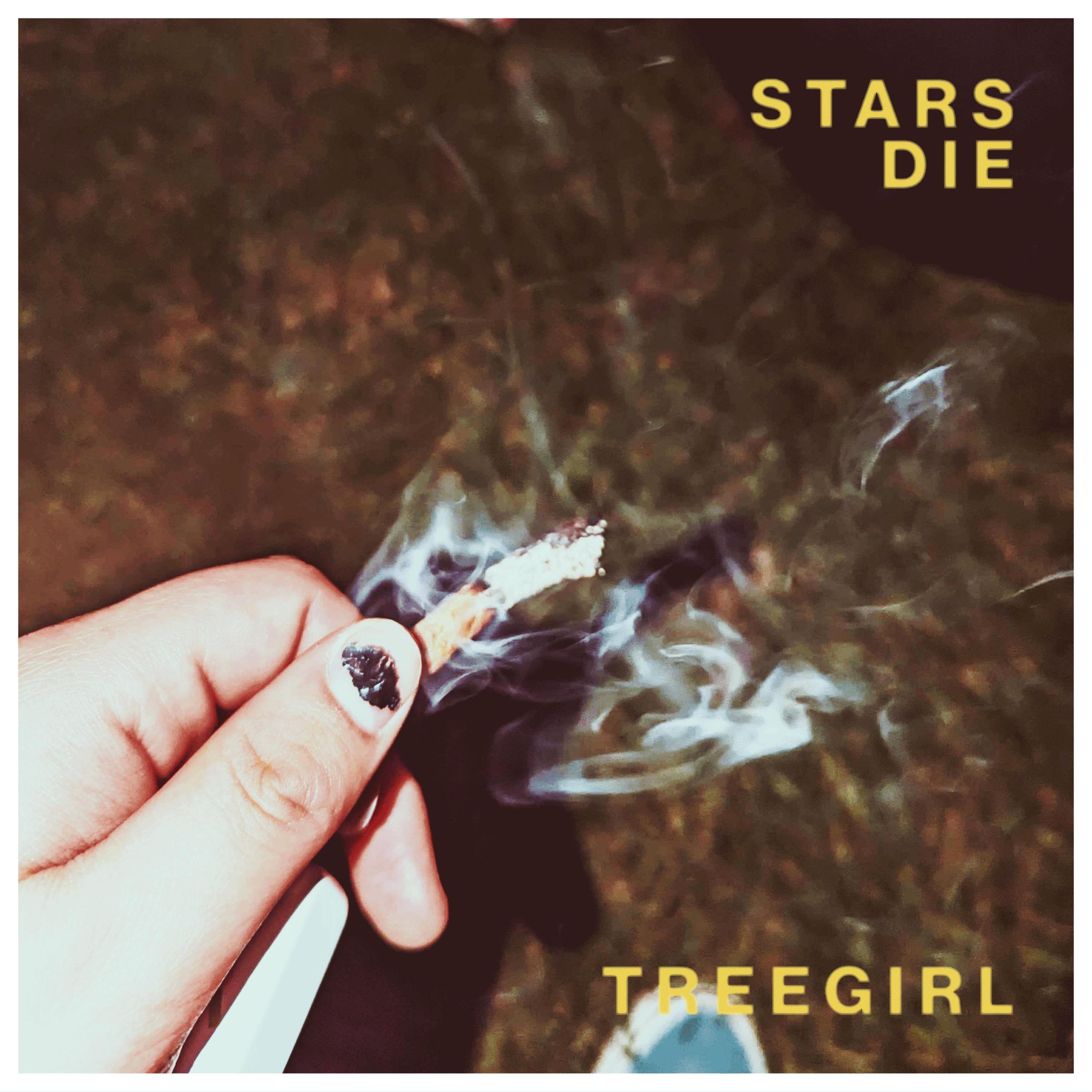 header image for treegirl on spotify that reads treegirl over an image of a fire across a field